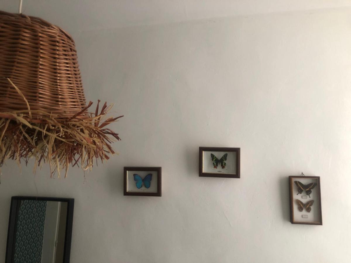 Appt 2 Chambres Au Centre Ville 3E 마르세유 외부 사진